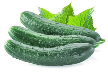 Cucumbers with leaves on the white background.