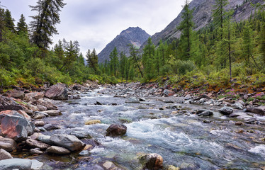 Mountain river in a cloudy summer day