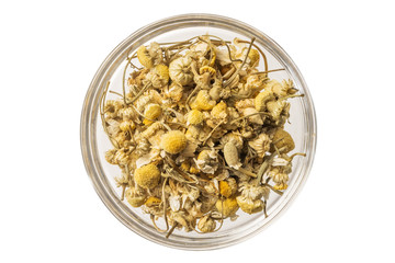 カモミールのハーブティー　Herb tea of the chamomile