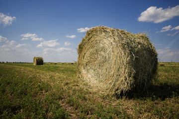 haystack on the field