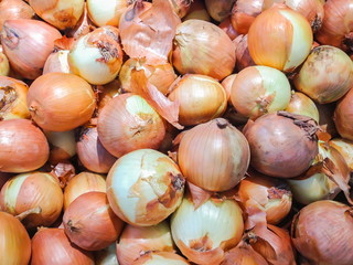 Fresh onion in the market