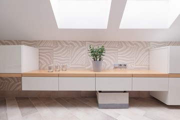 Cabinets in modern dressing room