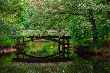 Fototapeta na wymiar A wooden bridge over a pond in the autumn park 