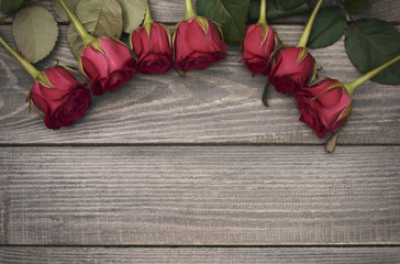 Curved row of red roses