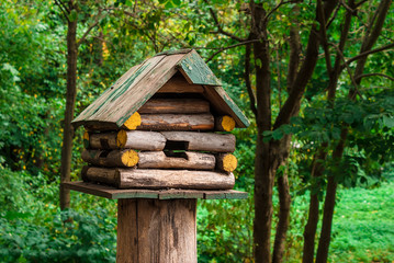 Wooden birdhouse on a tree stump in the autumn park
