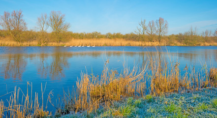 Canal through a frozen landscape in winter