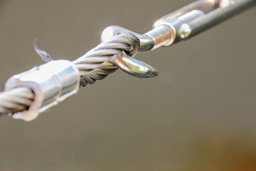 Wire rope and hook