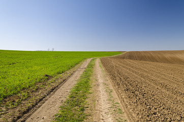 Fototapeta na wymiar Rural road in fields to cloudy horizon