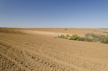 Plowed field in spring time with blue sky