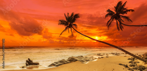 закат пальмы море песок пляж бесплатно