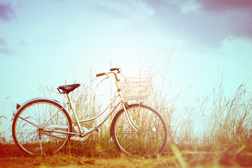 Obraz premium Retro bicycle in glass field, vintage tone 