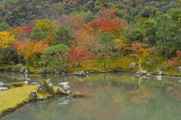 紅葉　曹源池庭園　天龍寺