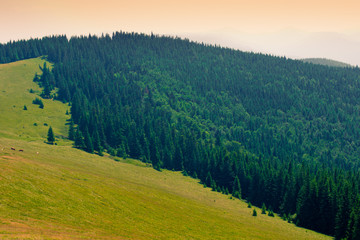 Carpathians Mountains