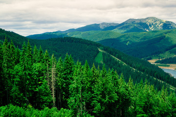 Mountains in the Carpathians.