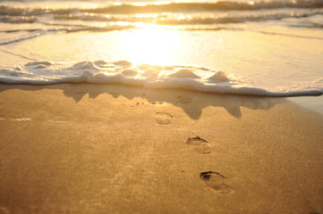 The footprints outgoing to the sea in the sunset