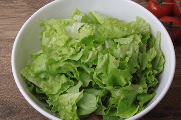 Fresh healthy lettuce salad