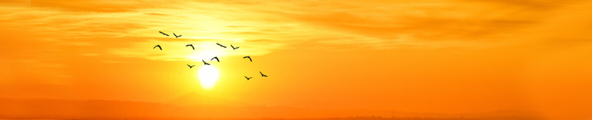 Fototapety  panoramiczny złoty zachód słońca