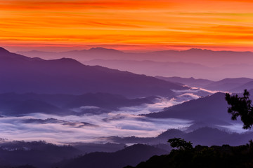 Sea Fog in The Morning before sunrise