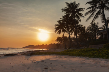 Fototapeta premium Beautiful sunset tropical beach with palm trees