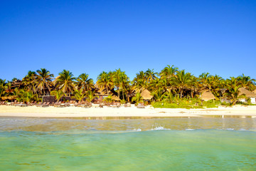 Scenic view of summer beach landscape with palm trees