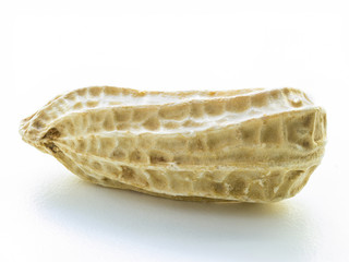 macro shot on peanut shell on white background