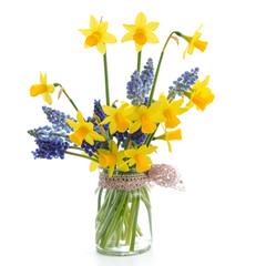 Zwergnarzissen und Traubenhyazinthen © womue