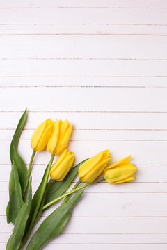 Spring  bright  yellow tulips flowers  on white painted wooden b