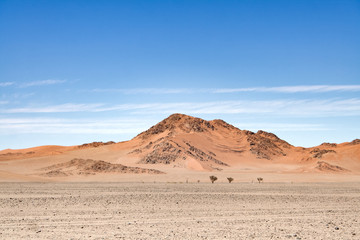 Fototapeta na wymiar Red dune in Sossusvlei left the road, Namibia