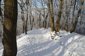 Winterwanderung