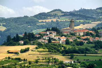 Langhe, landscape in Piedmont (Italy)