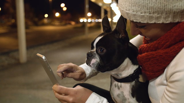 Woman Showing Dog Smartphone Screen. Pretty Young Woman with Boston Terrier in City at Night