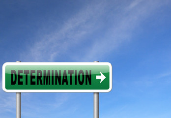 determination