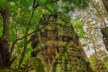 Ta Prohm Temple in Angkor, Siem Reap, Cambodia.