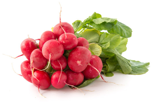 Frische Radieschen