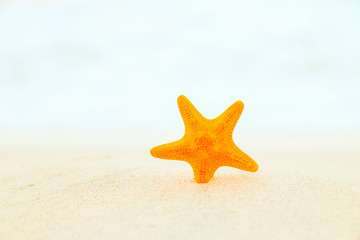 Fototapeta na wymiar Starfish on sand at beautiful beach.