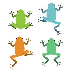 Set of frog in flat style, vector