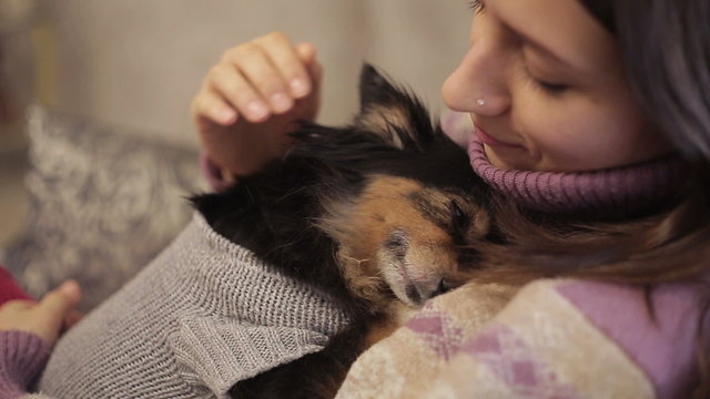 Small dog loves mistress