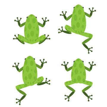 Set of green frog in flat style with pattern