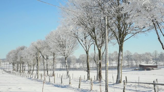 Schneelandschaft in Brilon am Hoppenbergweg