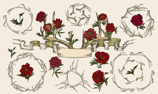 Antlers and peonies entwined ribbon.