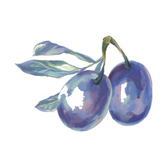 Plums with a sprig.
