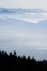 Mountain in fog with forest silhouette
