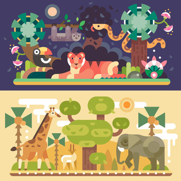 Desert and Jungle African animals: Tiger, Toucan Bird, Sloth bear, boa snake, giraffe, antelope, elephant. Day and night summer landscape flat vector illustrations.
