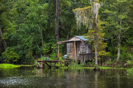 Old house in a swamp in New Orleans