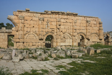 Ruins of the ancient Roman city of Gerasa, Jerash, Jordan