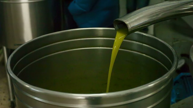 Oil process in the olive oil mill