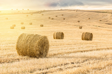 Straw bales at sunset

