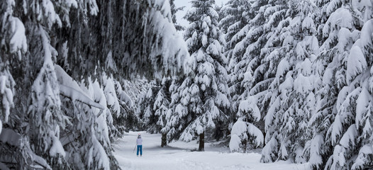skier background