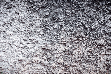 cement wall background.