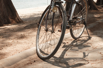 Naklejka na ściany i meble bicycle park at the sea